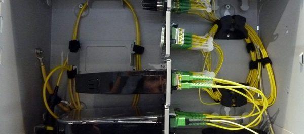 Passive Optical LAN (POLAN) Forward Split
