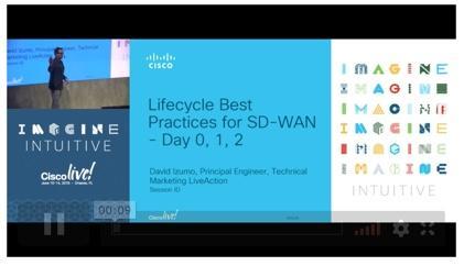 Cisco SD-WAN (Viptela) Visual Analytics and Management
