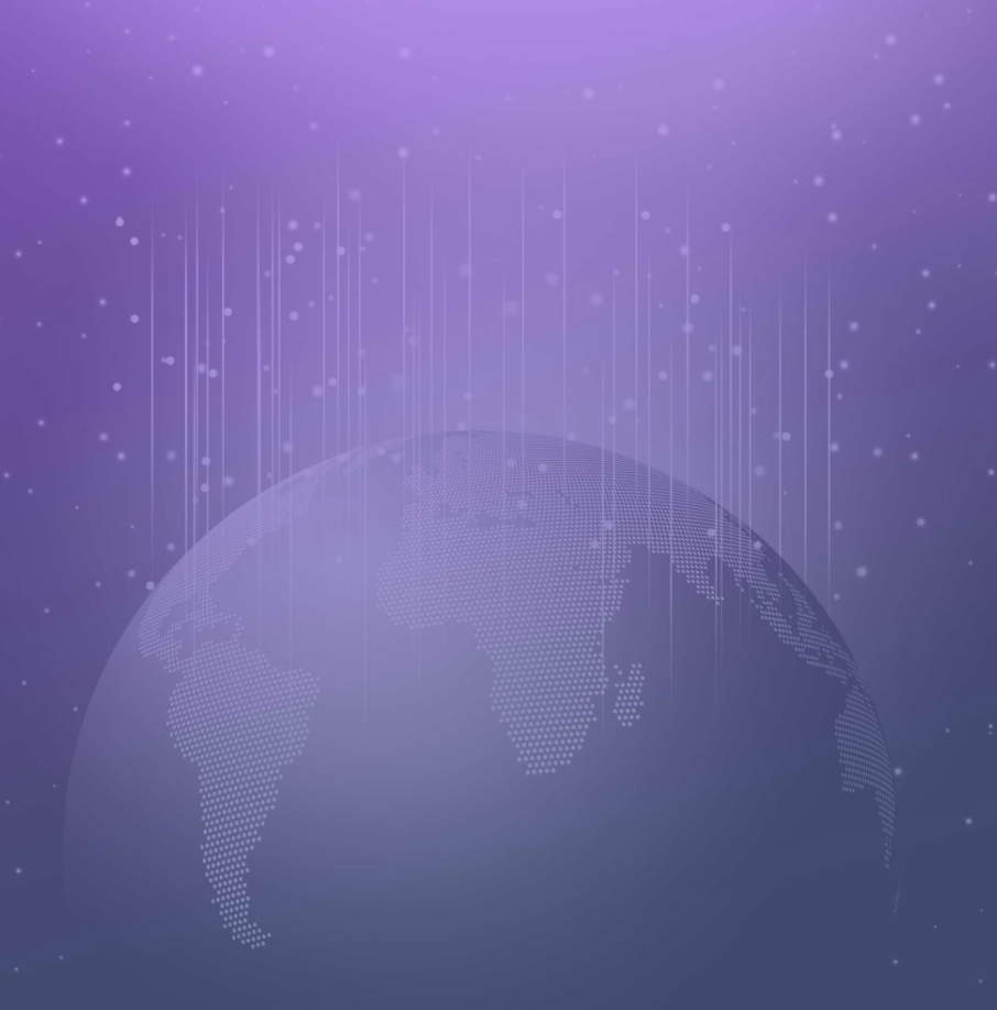 Web Application Scanning