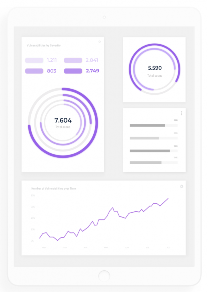 Web Application Scanning